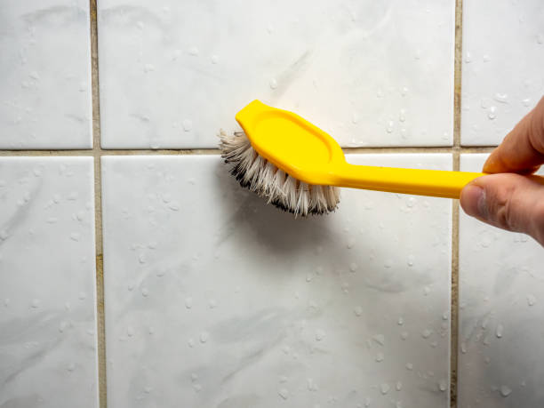 Best Toxic Mold Removal  in Asheville, NC