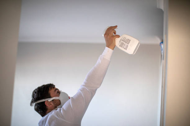 Best Crawl Space Mold Removal  in Asheville, NC