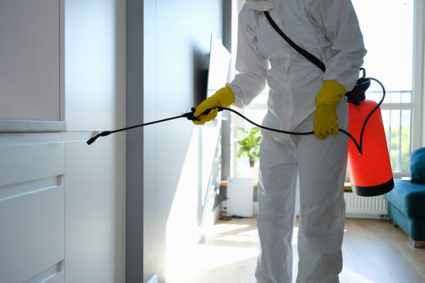 Best Commercial Mold Removal  in Asheville, NC